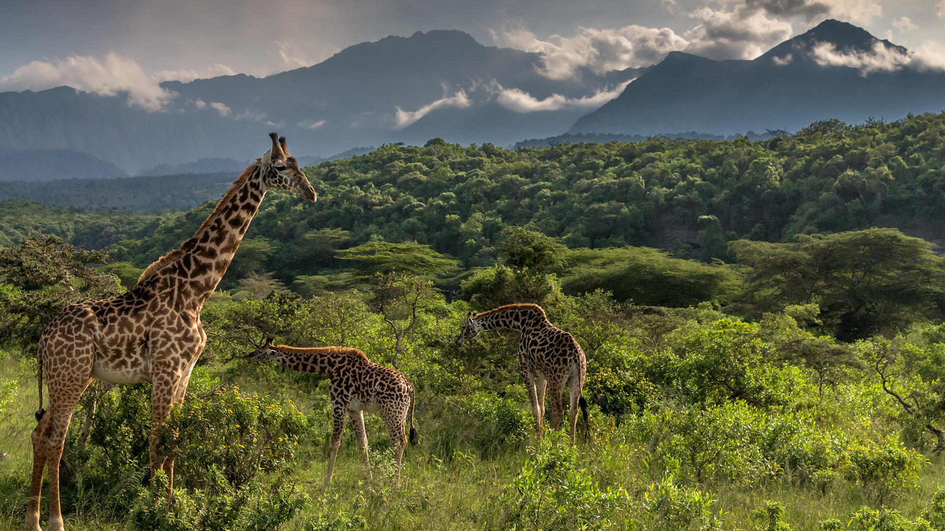 arusha-national-park-day-trips-1
