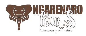 Ngarenaro Tours logo