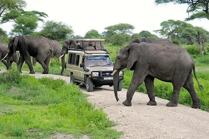 4x4 game drive in Tarangire National Park